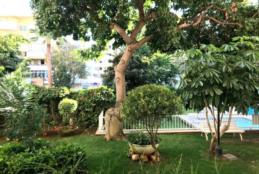 Central Beach Apartment With Free Parking And Pool Marbella Luaran gambar